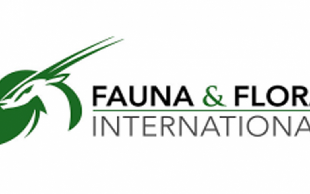 Flora and Fauna International