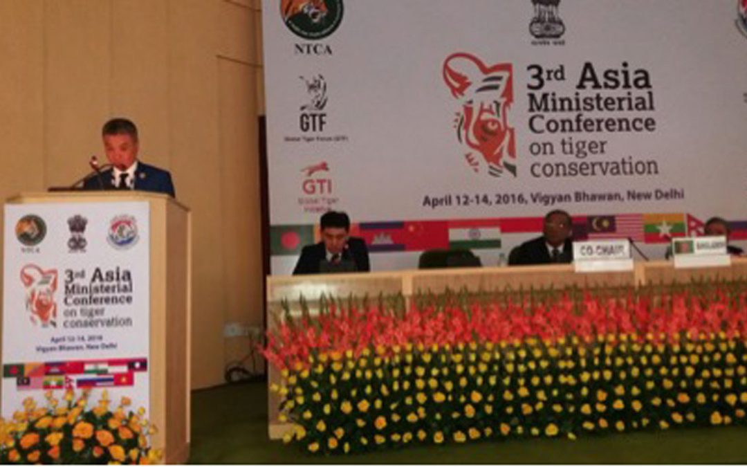 Снежные барсы на повестке дня 3-й Азиатской конференции министров по сохранению тигра