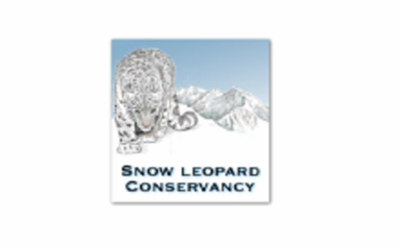 Snow Leopard Conservancy