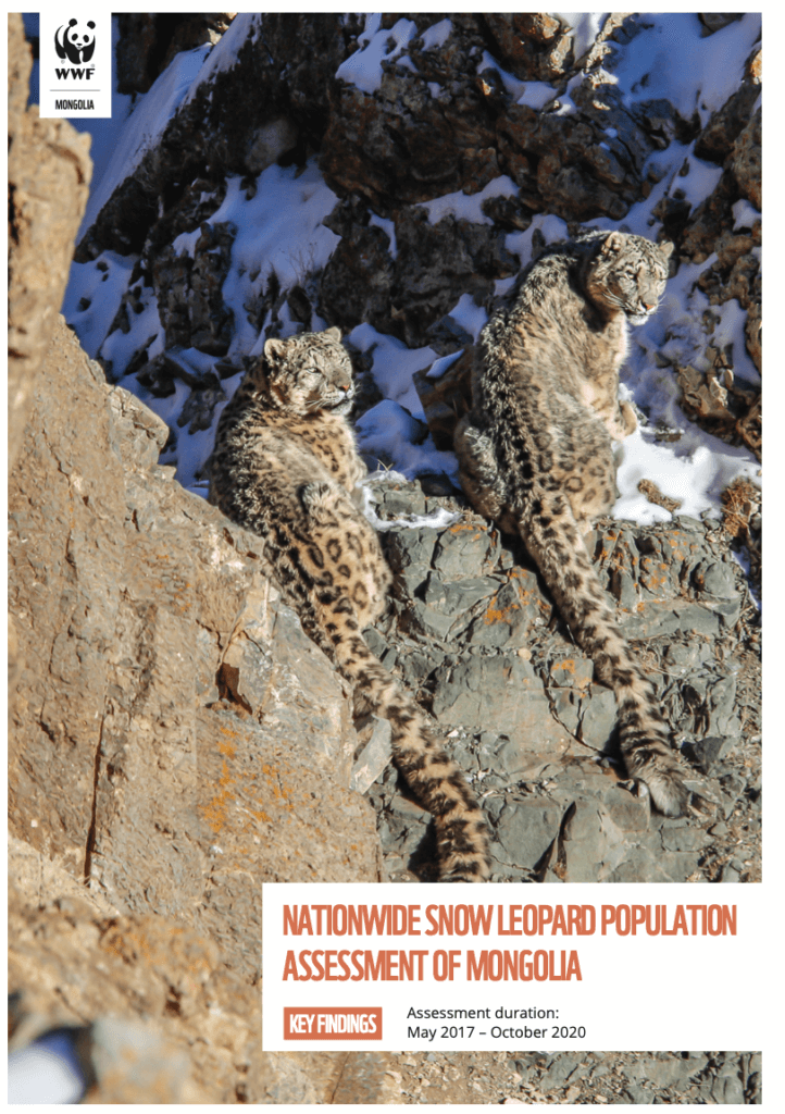 PAWS Preliminary estimates of Mongolia’s snow leopard population