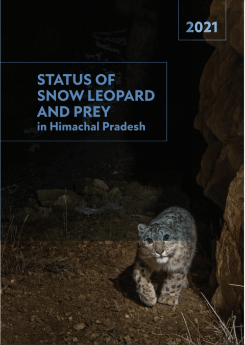 PAWS: Status of snow leopard and prey in Himachal Pradesh | Global Snow
