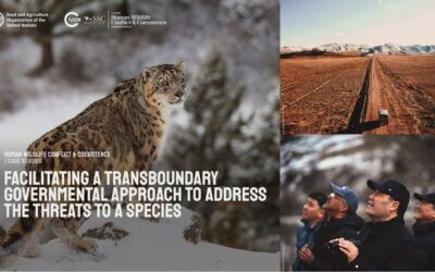 FACILITATING A TRANSBOUNDARY GOVERNMENTAL APPROACH TO ADDRESS THE THREATS TO A SPECIES