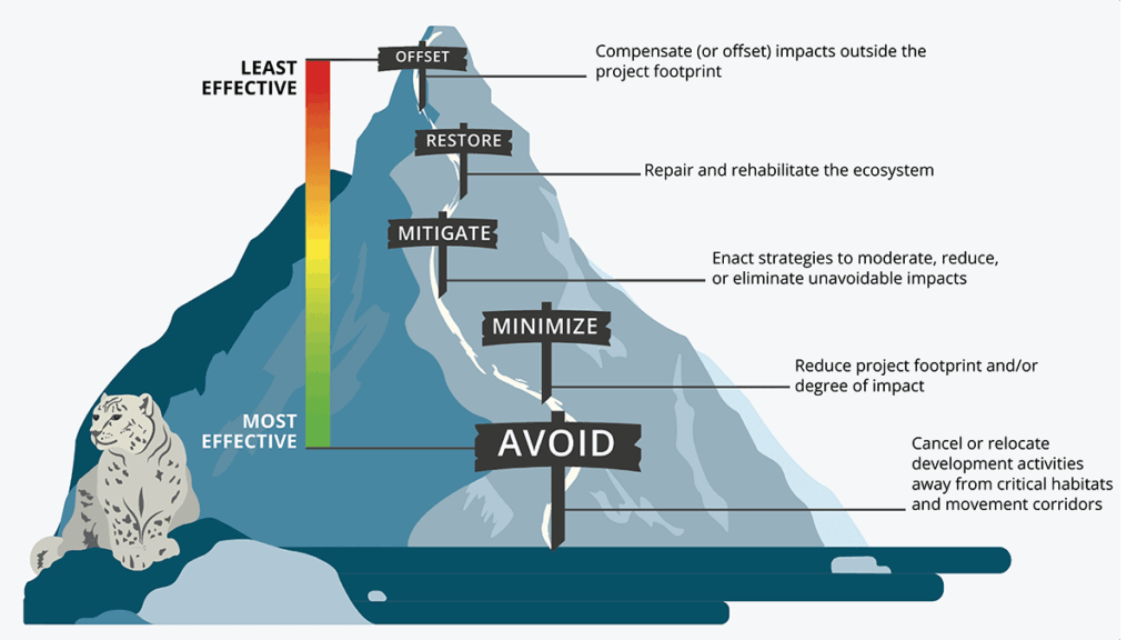 The steps of the mitigation hierarchy. Different institutions depict the mitigation hierarchy in different ways, but the underlying principles are fewer negative actions and more positive actions.